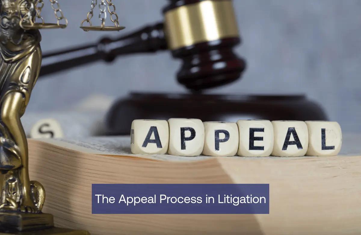 The Appeal Process in Litigation