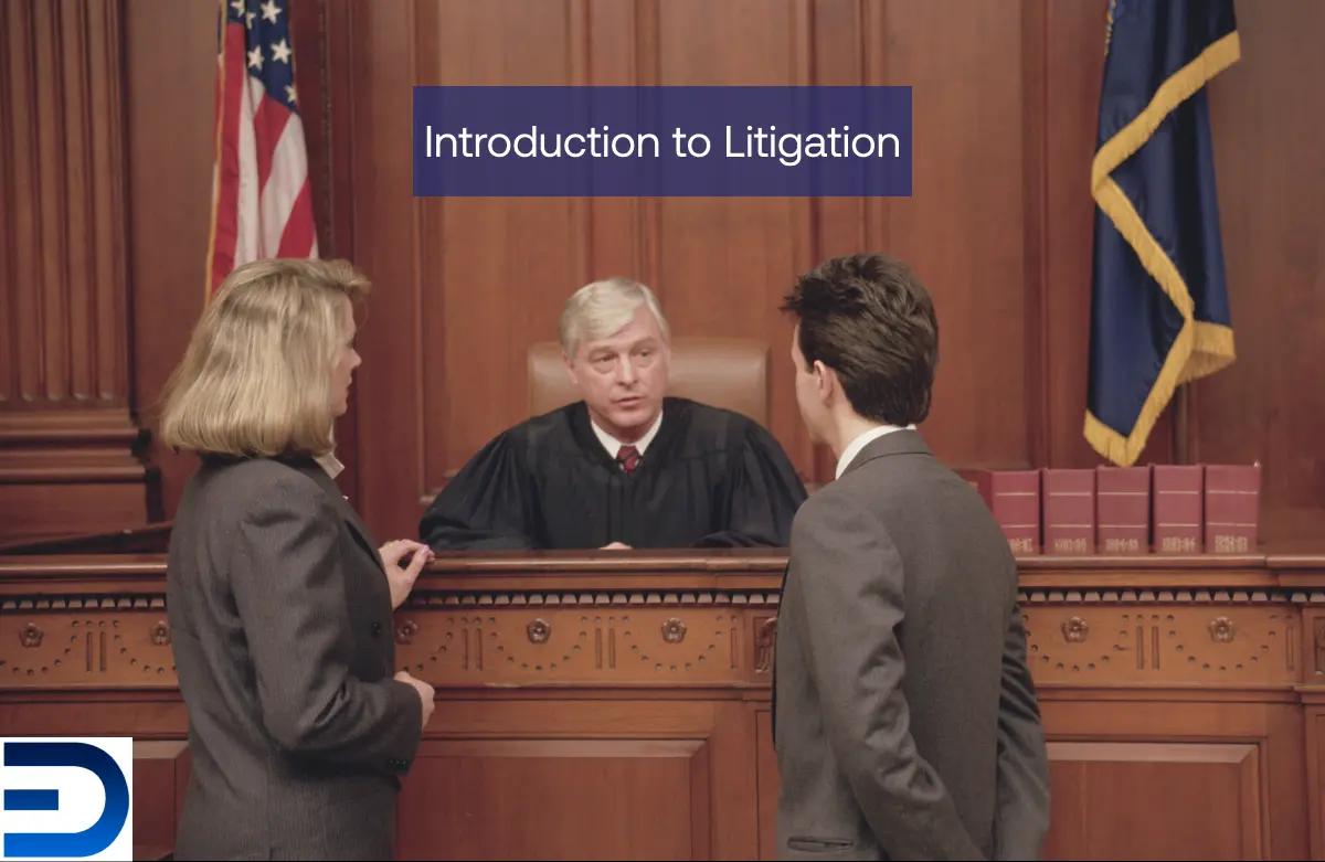 Introduction to Litigation